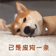 示例图片